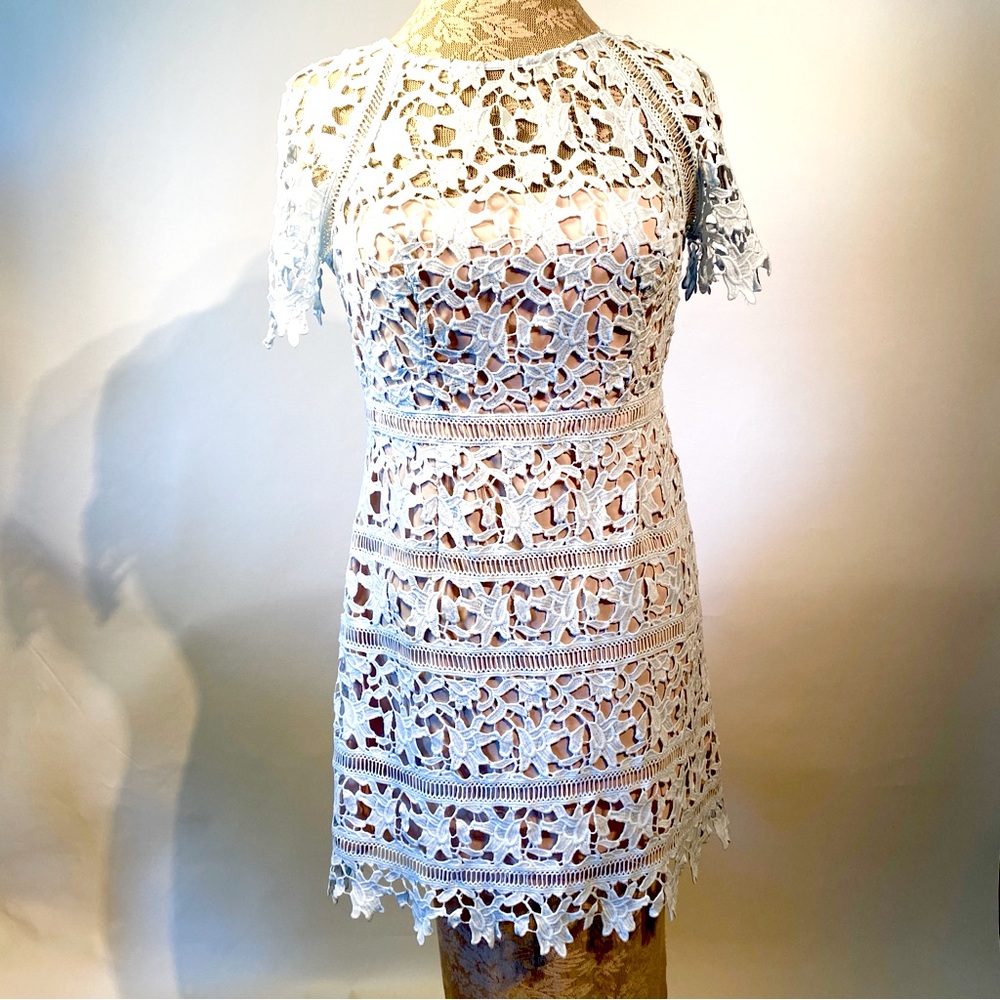 Eliza J. Size 12 Light Blue Lace Midi Dress